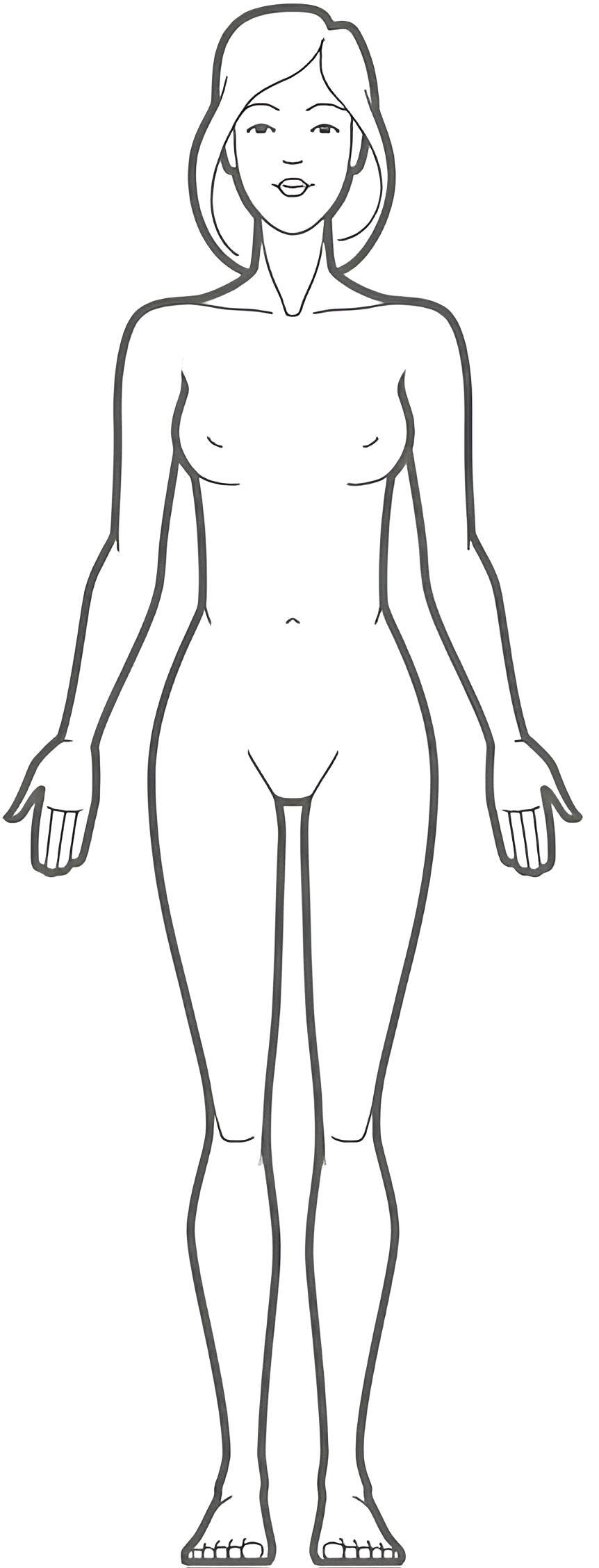 Body diagram
